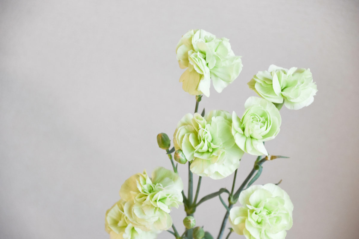 green1